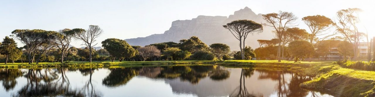 O companie din Africa de Sud vrea să investească în SygniaCoin