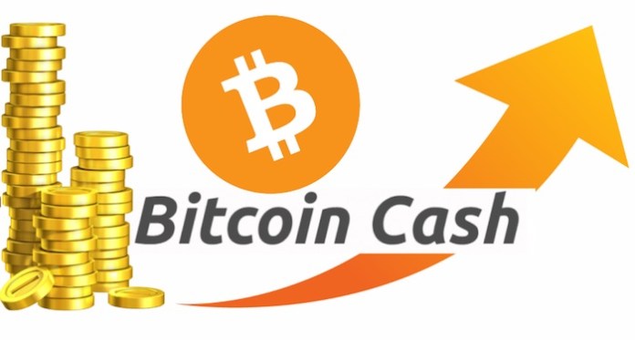 bitcoin de succes comercianți în africa de sud